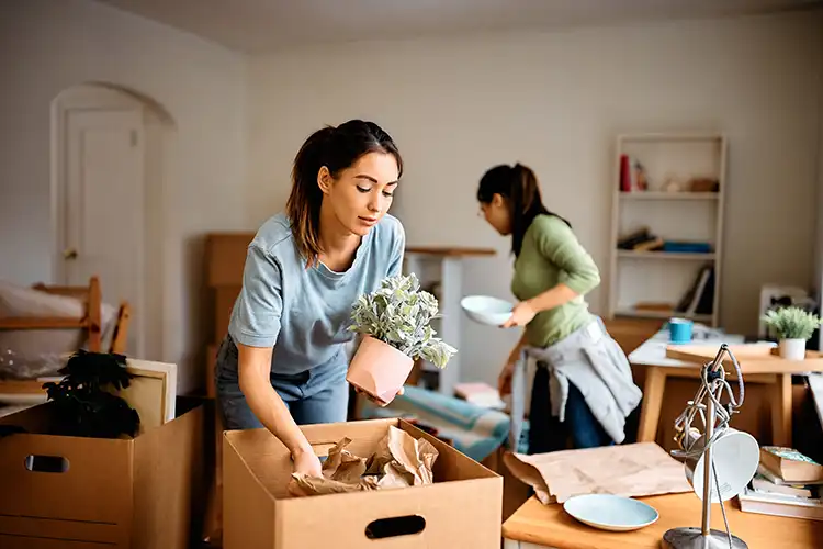 Household storage